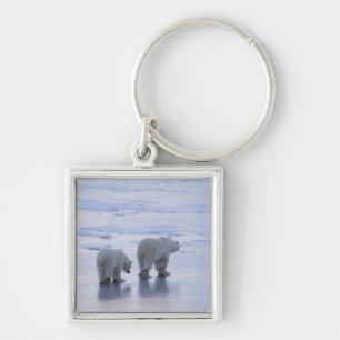 Polar Bear Mother and Cub Keychain