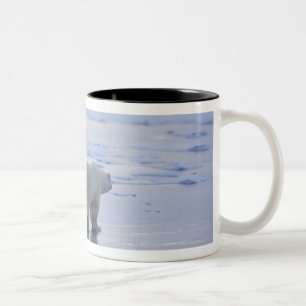 Polar Bear Mother and Cub Two-Tone Coffee Mug