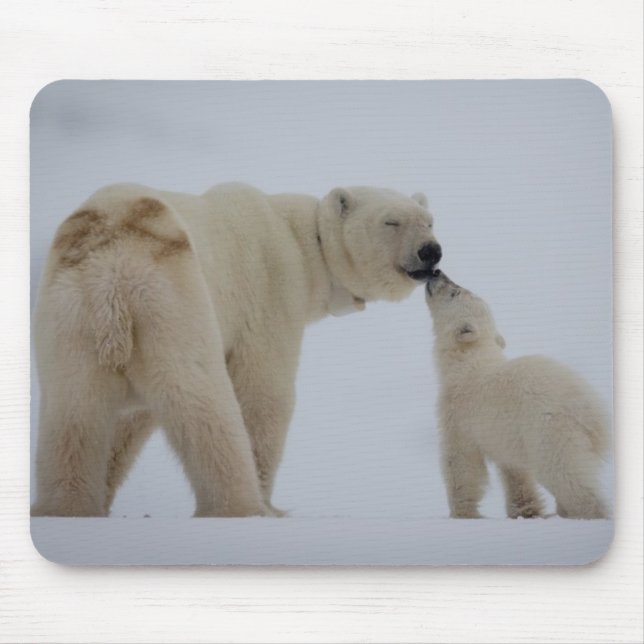 Polar Bear Mother with Cub Mouse Pad (Front)