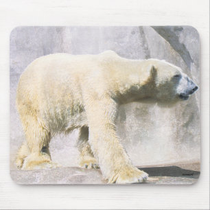 polar bear mouse pad