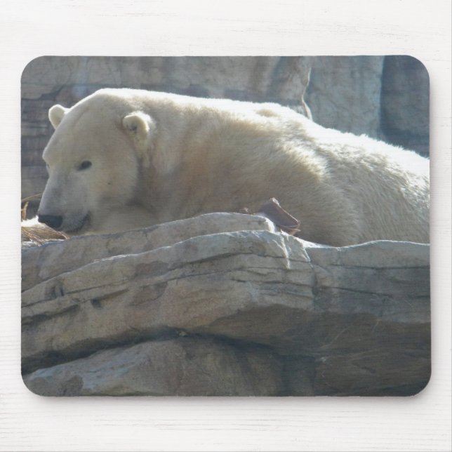 Polar Bear Mouse Pad (Front)