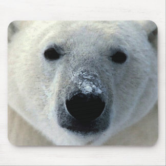 Polar Bear Mouse Pad