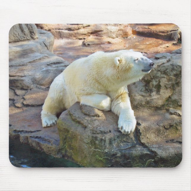 Polar Bear Mousepad (Front)