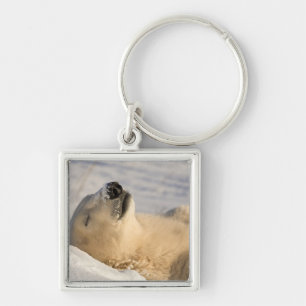 Polar Bear Nap Keychain