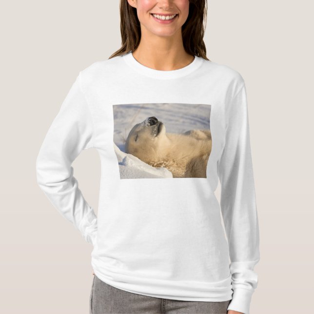 Polar Bear Nap T-Shirt (Front)