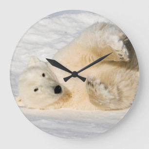 Polar Bear near Hudson Bay Large Clock