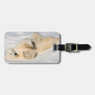 Polar Bear near Hudson Bay Luggage Tag