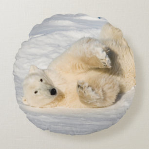 Polar Bear near Hudson Bay Round Pillow