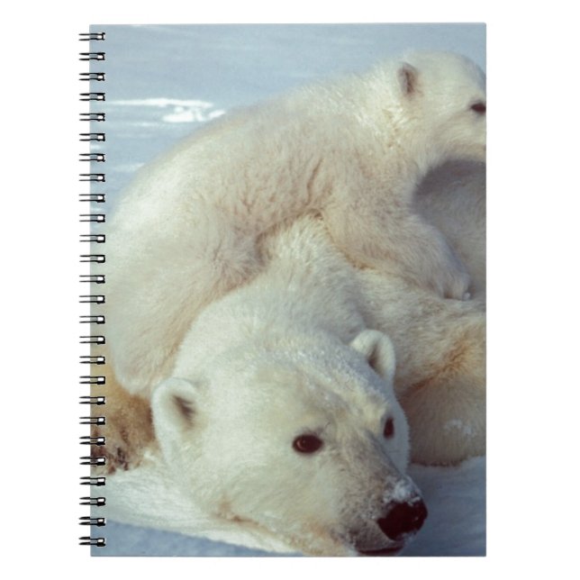 Polar Bear Notebook (Front)