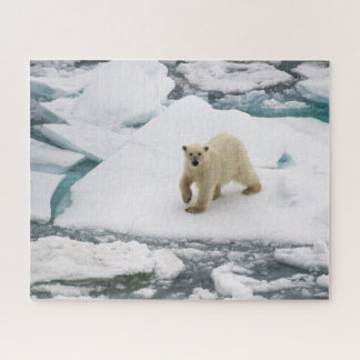 Polar Bear on Arctic Sea Ice in Svalbard Jigsaw Puzzle
