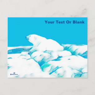 Polar Bear On Ice Postcard