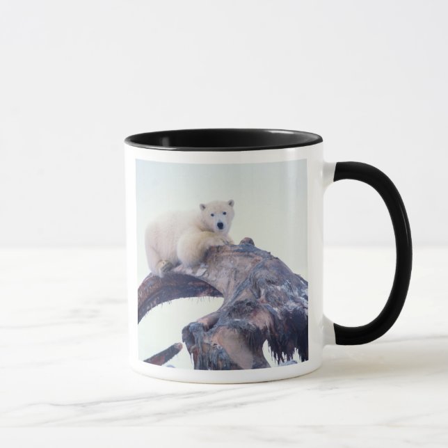 Polar bear on top of a bowhead whale jaw bone, mug (Right)
