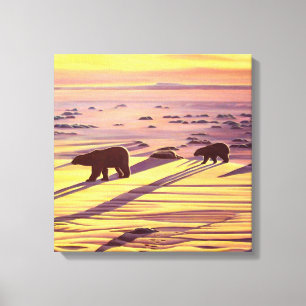 Polar Bear Painting Prints & Posters
