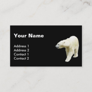 Polar Bear Photo on Black Background Business Card
