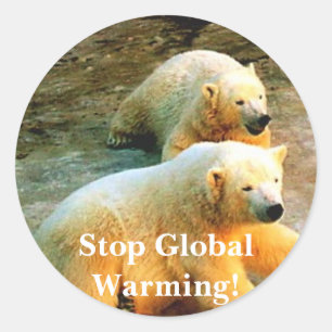 Polar Bear Photo. Stop Global Warming! Classic Round Sticker