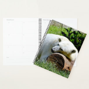 Polar Bear Planner