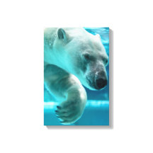 Polar Bear Plunge Clear Blue Water (Portrait)