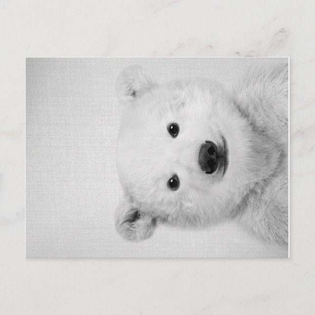 Polar-bear, Polar-bear Canvas Gift for Her  Announcement Postcard (Front)