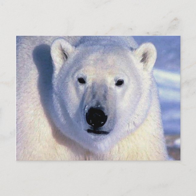 Polar Bear Postcard (Front)