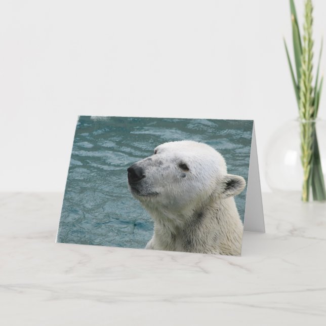 Polar Bear Profile Greeting Card (Front)