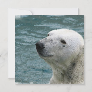 Polar Bear Profile Invitation