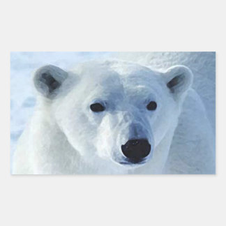 Polar Bear Rectangle Stickers