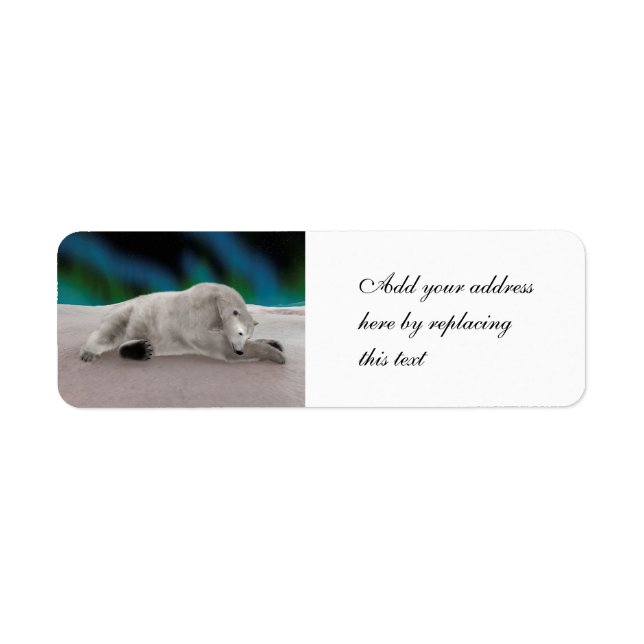 Polar Bear Resting (Front)