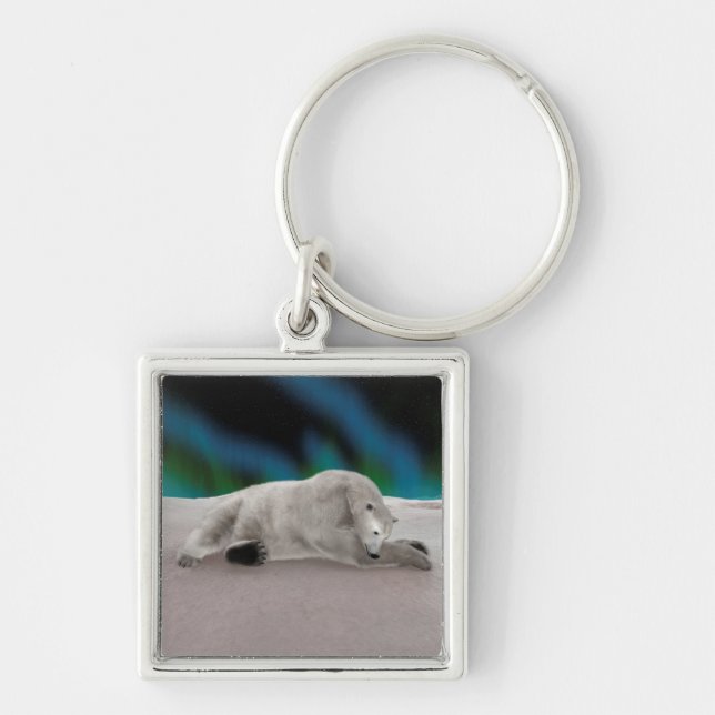 Polar Bear Resting Keychain (Front)