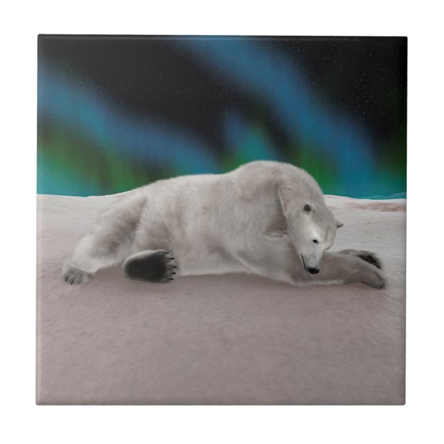 Polar Bear Resting Tile (Front)