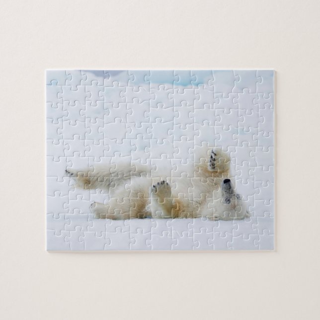 Polar bear rolling in snow, Norway Jigsaw Puzzle (Horizontal)