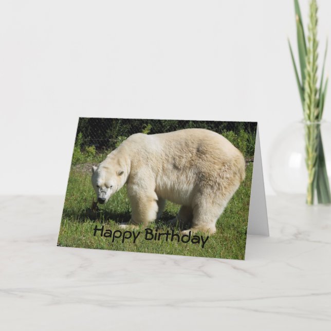 polar bear scowling Birthday Card (Front)
