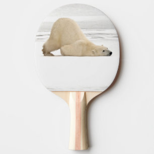 Polar bear scratching itself on frozen tundra ping pong paddle