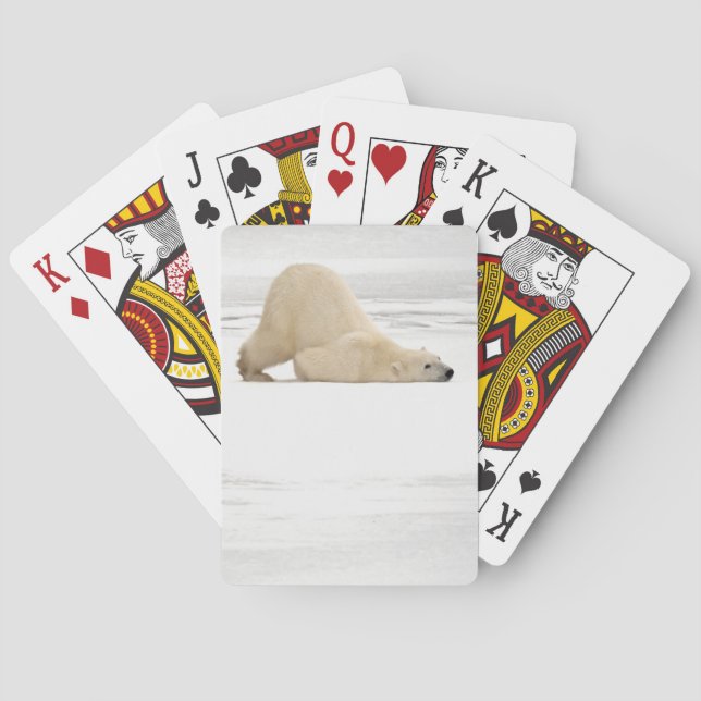 Polar bear scratching itself on frozen tundra playing cards (Back)