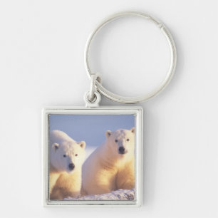 Polar bear sow with cub on pack ice keychain