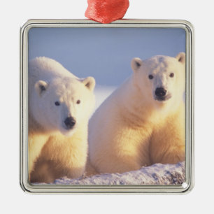 Polar bear sow with cub on pack ice metal ornament