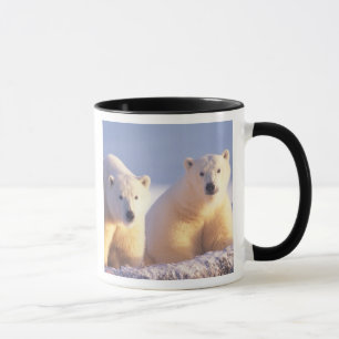 Polar bear sow with cub on pack ice mug