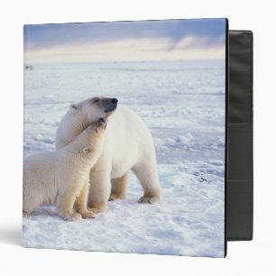 Polar bear sow with cub, pack binder