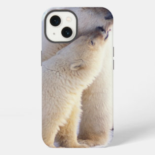 Polar bear sow with cub, pack iPhone 13 case