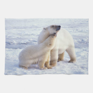 Polar bear sow with cub, pack kitchen towel