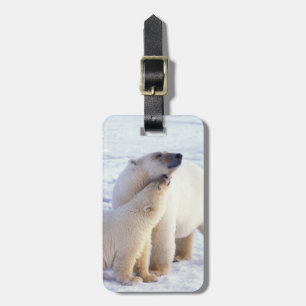 Polar bear sow with cub, pack luggage tag