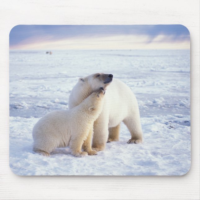 Polar bear sow with cub, pack mouse pad (Front)