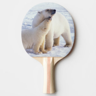Polar bear sow with cub, pack ping pong paddle