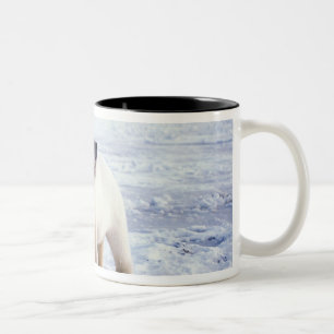 Polar bear sow with cub, pack Two-Tone coffee mug