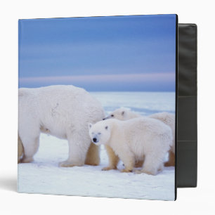 Polar bear sow with cubs binder