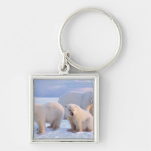 Polar bear sow with cubs on pack ice of coastal keychain