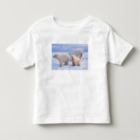 Polar bear sow with cubs on pack ice of coastal