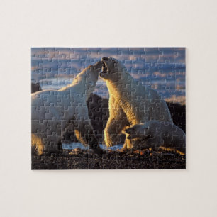 Polar bear sows with cub at side, 1002 coastal jigsaw puzzle