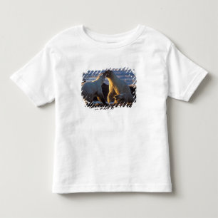 Polar bear sows with cub at side, 1002 coastal toddler t-shirt