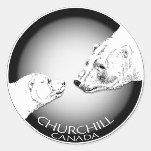Polar Bear Stickers Churchill Canada Bear Stickers