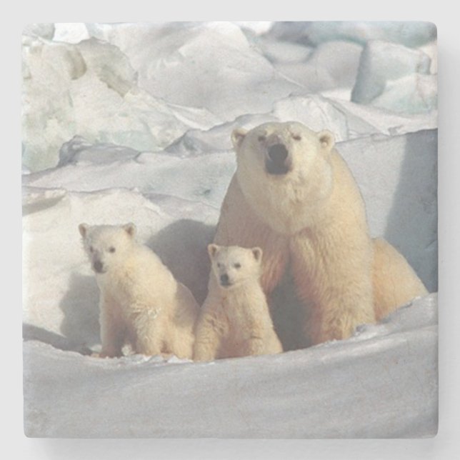 Polar Bear Stone Coaster (Front)
